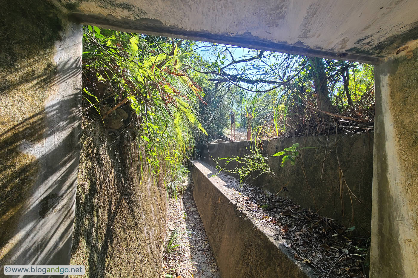 Shing Mun Redoubt - Picadilly Tunnel Trench View